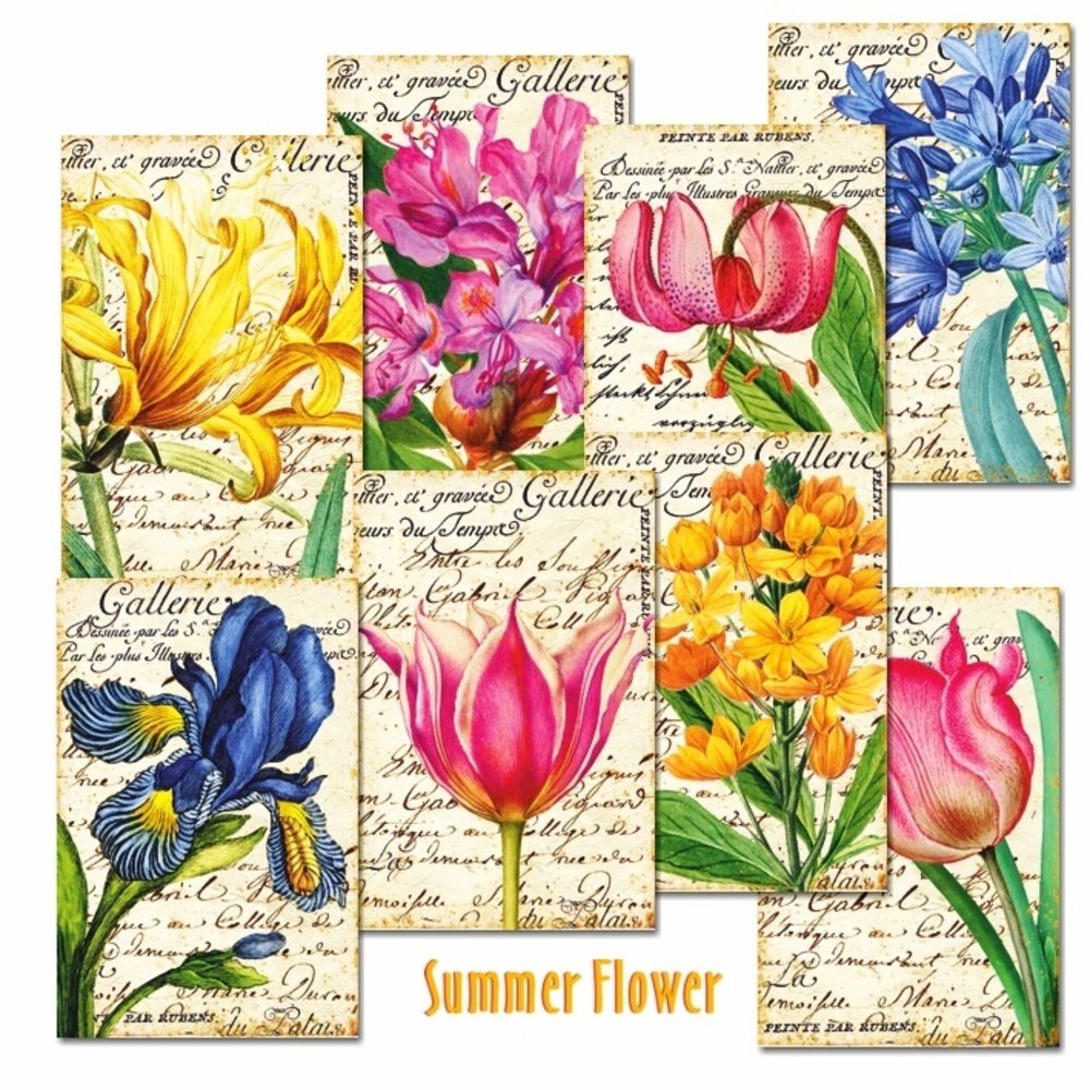 Decorer Summer Flower Paper Pack (7x10,8cm) (DECOR-M104)
