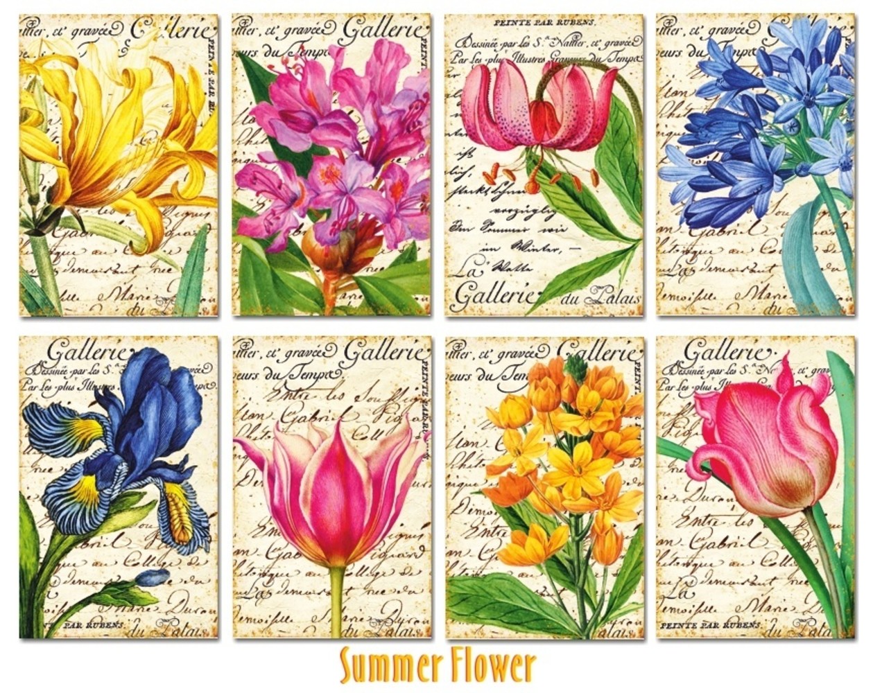Decorer Summer Flower Paper Pack (7x10,8cm) (DECOR-M104)
