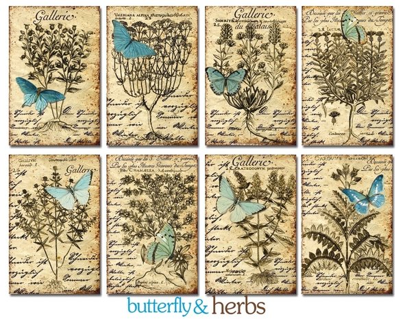 Decorer Butterfly & Herbs Paper Pack (7x10,8cm) (DECOR-M107)