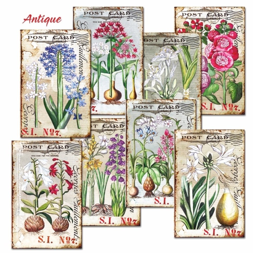 Decorer Antique Paper Pack (7x10,8cm) (DECOR-M108)