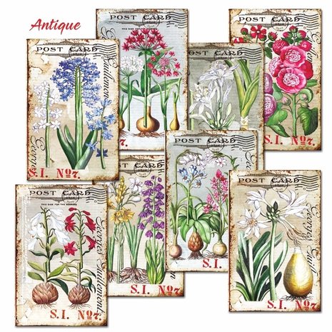 Decorer Antique Paper Pack (7x10,8cm) (DECOR-M108)