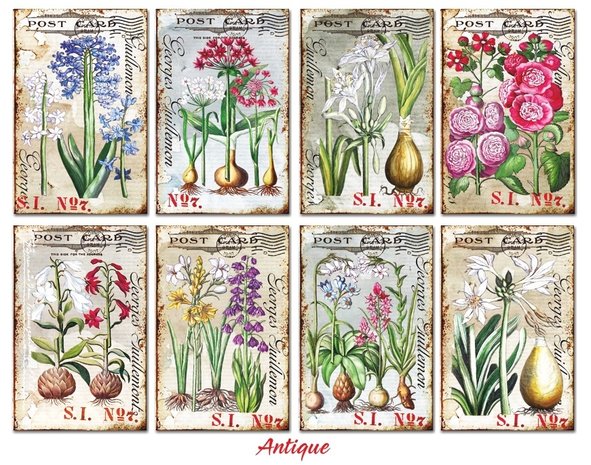 Decorer Antique Paper Pack (7x10,8cm) (DECOR-M108)