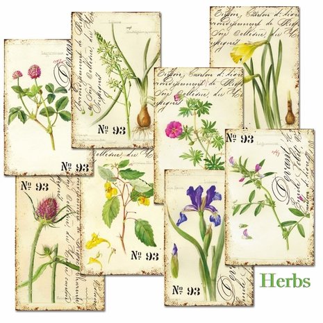 Decorer Herbs Paper Pack (7x10,8cm) (DECOR-M110) Decorer Herbs Paper Pack (7x10,8cm) (DECOR-M110)