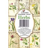 Decorer Herbs Paper Pack (7x10,8cm) (DECOR-M110)