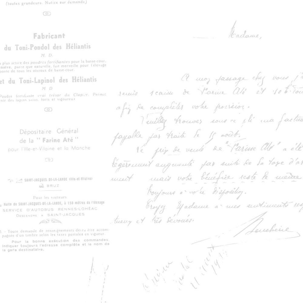 Studio Light Write Your Story 8x8 Inch Acetate Sheets (JMA-WYS-ACS01)