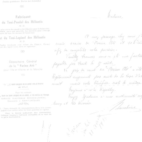 Studio Light Write Your Story 8x8 Inch Acetate Sheets (JMA-WYS-ACS01)