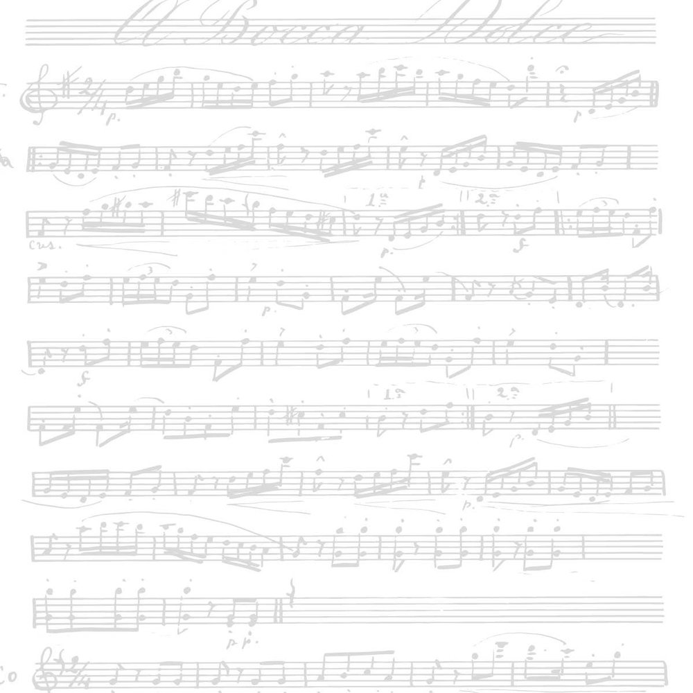 Studio Light Write Your Story 8x8 Inch Acetate Sheets (JMA-WYS-ACS01)