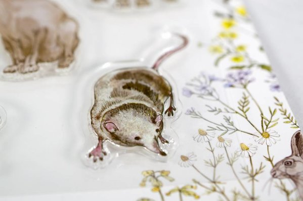 Craft Consortium Wildflower Meadow Clear Stamps Wildflower Meadow (CCSTMP004)