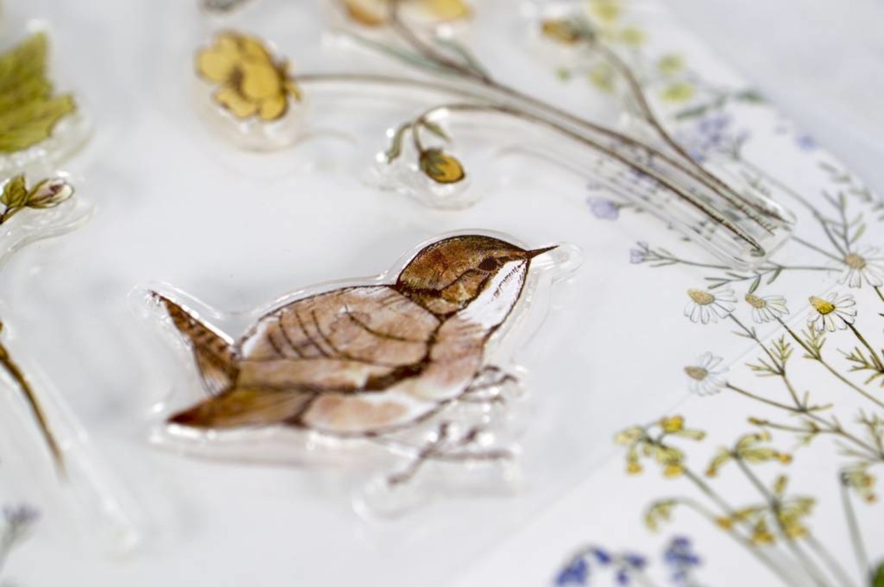 Craft Consortium Wildflower Meadow Clear Stamps Wild Flowers (CCSTMP005)