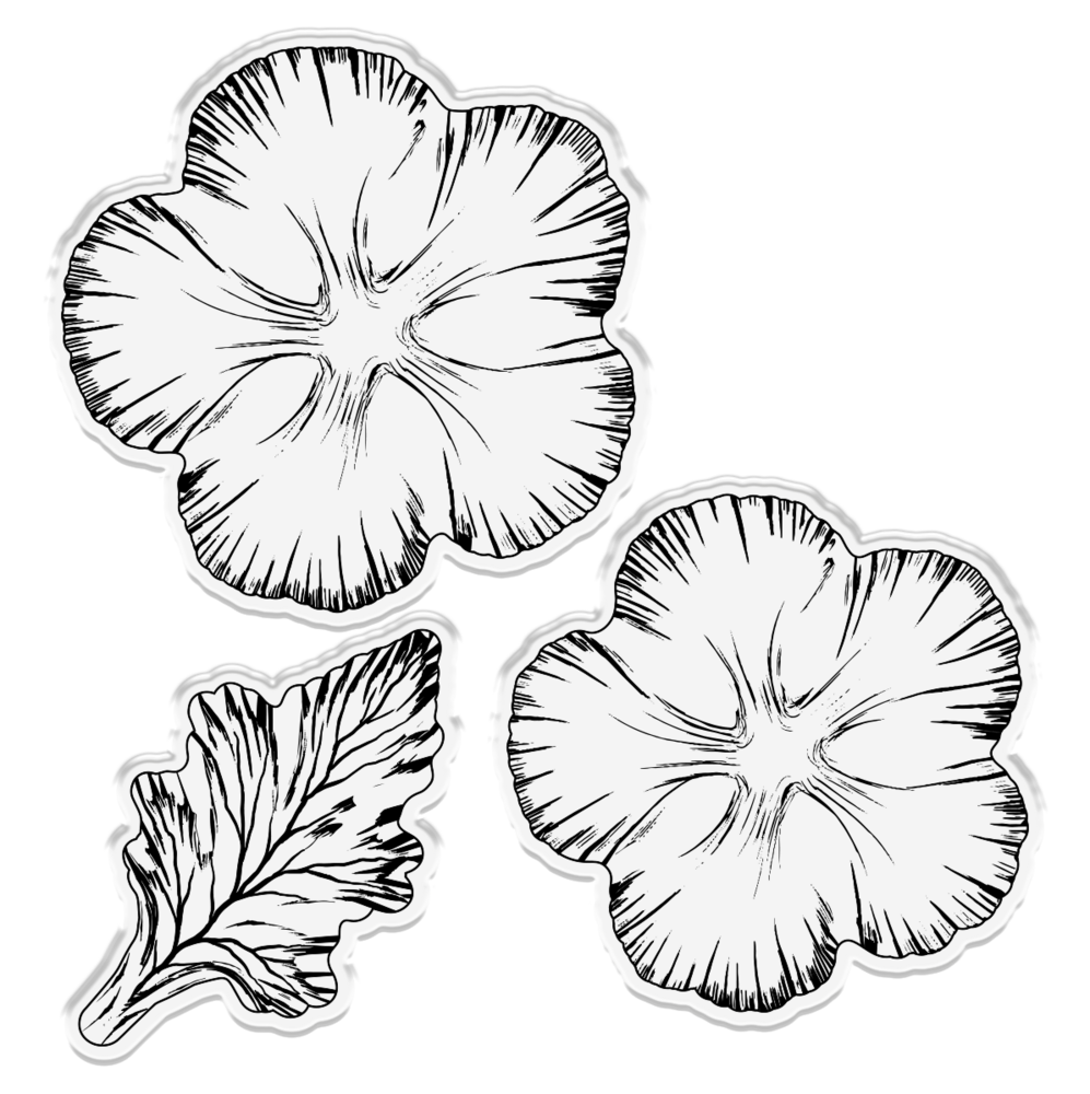 Gemini Flower Timeless Carnations Stamp & Die (GEM-STD-TICA)