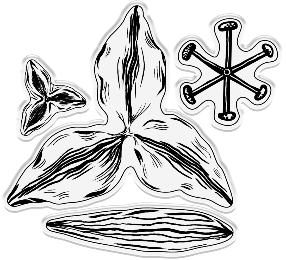 Gemini Flower Delicate Lily Stamp & Die (GEM-STD-DLIL)