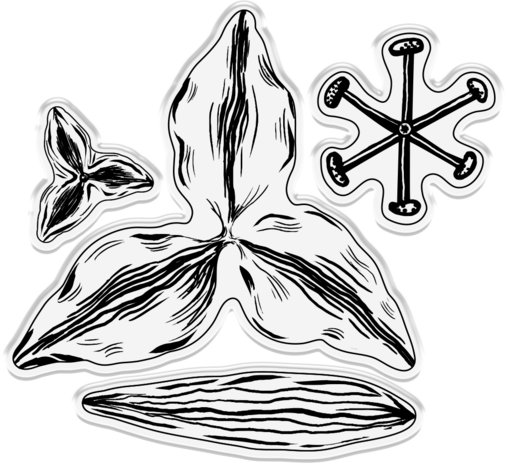 Gemini Flower Delicate Lily Stamp & Die (GEM-STD-DLIL)