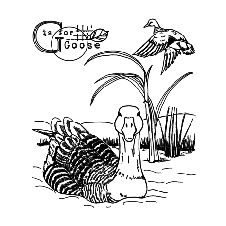 Crafty Individuals G is for Goose Unmounted Rubber Stamps (CI-603) Crafty Individuals G is for Goose Unmounted Rubber Stamps (CI-603)