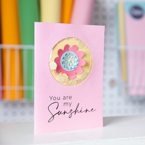 Sizzix Shaker Domes Circle 2.5 Inch (663649)