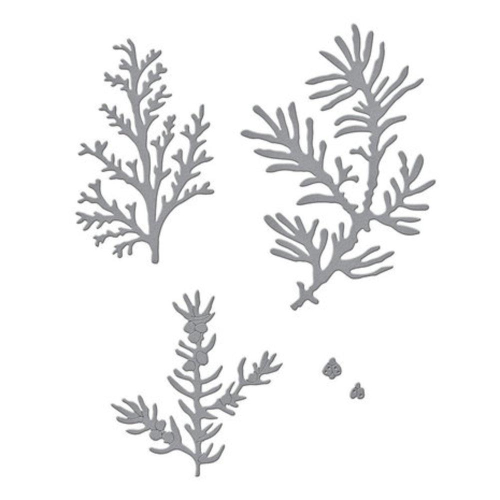 Spellbinders Winter Garden Snijmal Winter Evergreen Foliage and Ladybugs (S5-515) Spellbinders Winter Garden Snijmal Winter Evergreen Foliage and Ladybugs (S5-515)