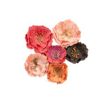 Prima Marketing Inc Strawberry Milkshake Flowers Strawberry Kisses (659516)