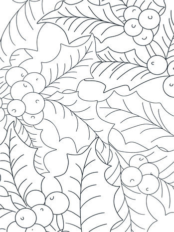 Crafter's Companion Card Front Colouring Pads Natures Christmas (CC-COLPAD-NACH) Crafter's Companion Card Front Colouring Pads Natures Christmas (CC-COLPAD-NACH)