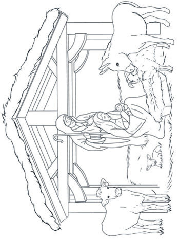 Crafter's Companion Card Front Colouring Pads The Miracle Of Christmas (CC-COLPAD-TMOC)