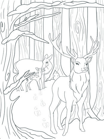 Crafter's Companion Card Front Colouring Pads Winter Scenes (CC-COLPAD-WISC)