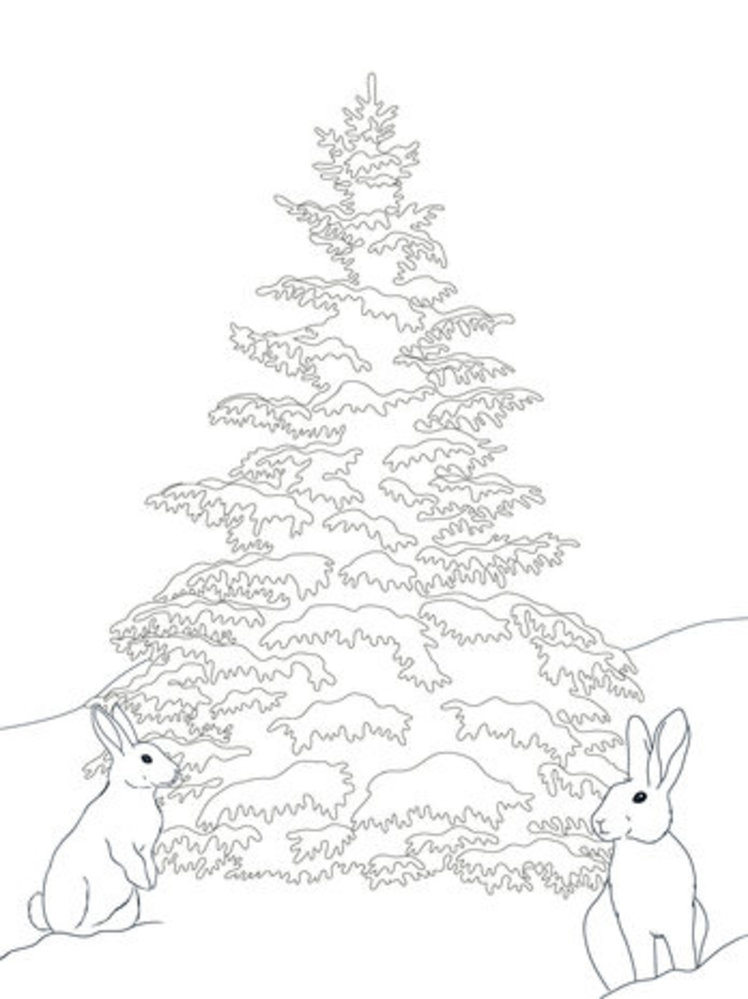 Crafter's Companion Card Front Colouring Pads Winter Scenes (CC-COLPAD-WISC)