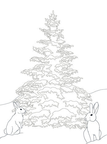 Crafter's Companion Card Front Colouring Pads Winter Scenes (CC-COLPAD-WISC)