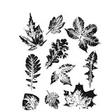 Stampers Anonymous Cling Stamps Leaf Prints 2 (CMS450)