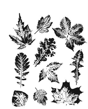 Stampers Anonymous Cling Stamps Leaf Prints 2 (CMS450) Stampers Anonymous Cling Stamps Leaf Prints 2 (CMS450)