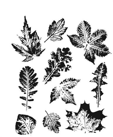 Stampers Anonymous Cling Stamps Leaf Prints 2 (CMS450) Stampers Anonymous Cling Stamps Leaf Prints 2 (CMS450)