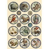 Stamperia Cosmos Infinity Wooden Shapes A5 (KLSP127)*