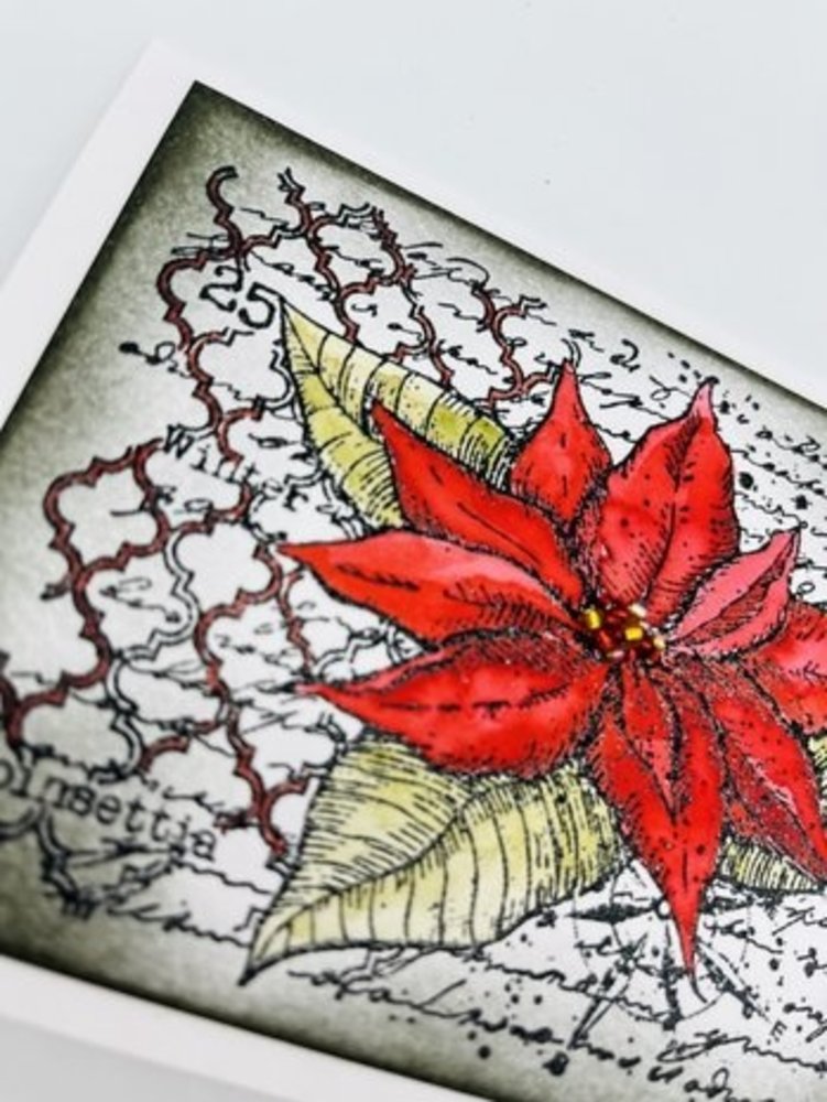 IndigoBlu Poinsettia Collage A6 Rubber Stamps (IND1002) IndigoBlu Poinsettia Collage A6 Rubber Stamps (IND1002)