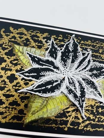 IndigoBlu Poinsettia Collage A6 Rubber Stamps (IND1002) IndigoBlu Poinsettia Collage A6 Rubber Stamps (IND1002)