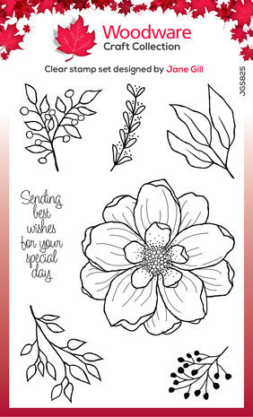 Woodware Arrange Me Clear Stamps (JGS825) Woodware Arrange Me Clear Stamps (JGS825)
