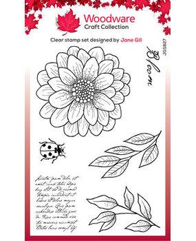 Woodware Ditsy Daisy Clear Stamps (JGS827) Woodware Ditsy Daisy Clear Stamps (JGS827)