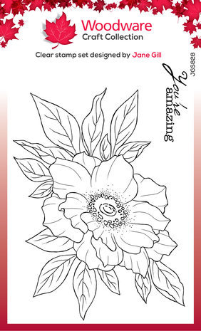 Woodware Anemone Clear Stamps (JGS828) Woodware Anemone Clear Stamps (JGS828)
