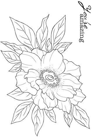 Woodware Anemone Clear Stamps (JGS828) Woodware Anemone Clear Stamps (JGS828)