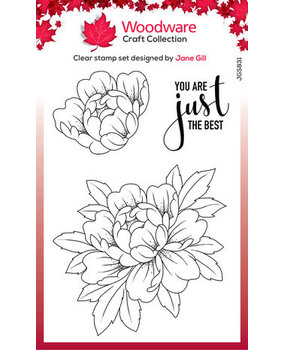 Woodware Just The Best Clear Stamps (JGS831) Woodware Just The Best Clear Stamps (JGS831)