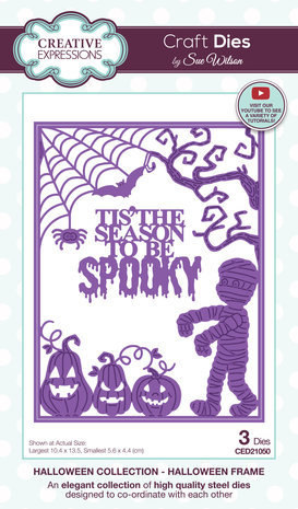 Creative Expressions Sue Wilson Halloween Frame Craft Die (CED21050) Creative Expressions Sue Wilson Halloween Frame Craft Die (CED21050)