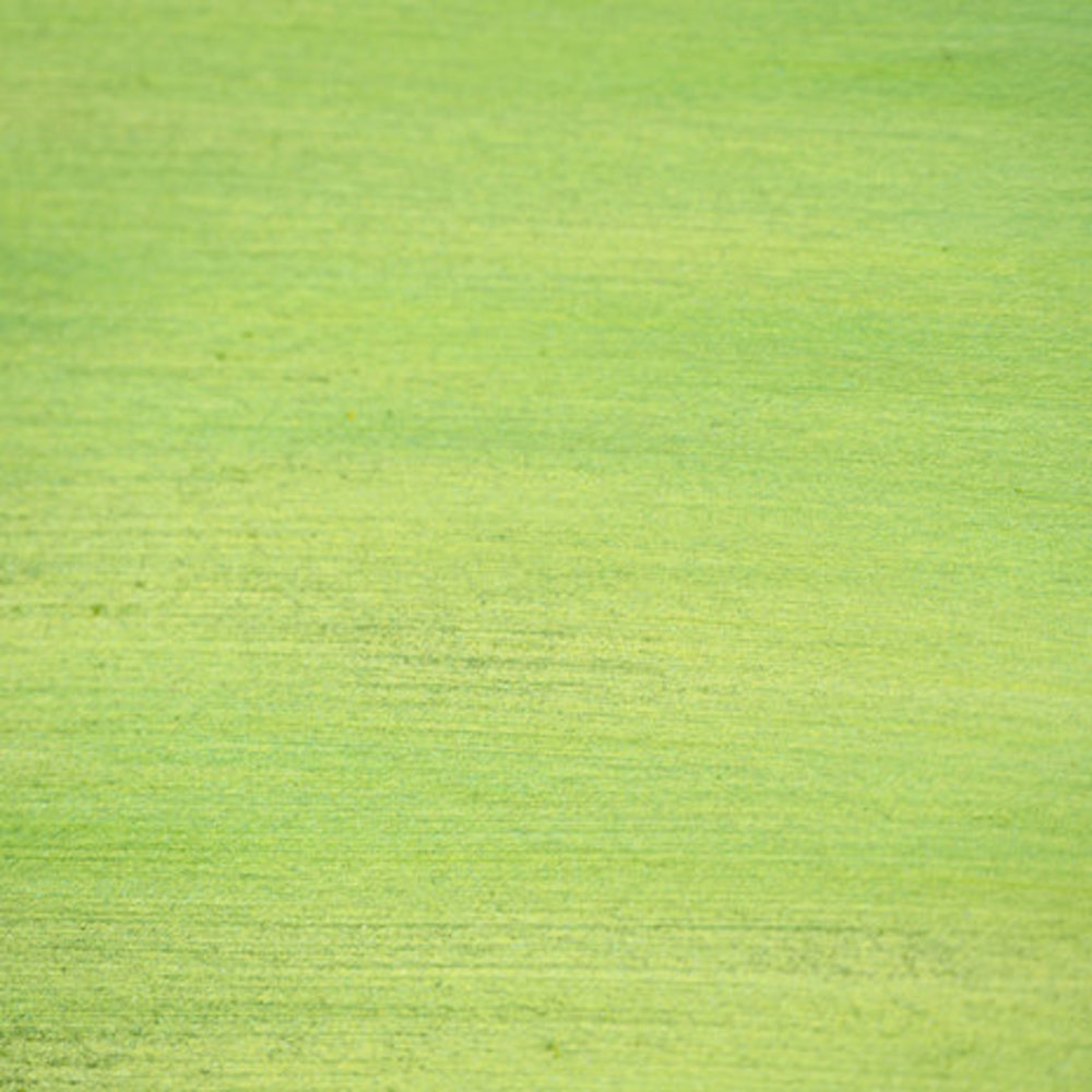 Pink Ink Designs Wax Lyrical Apple Pie (PIWAXAPPLE)