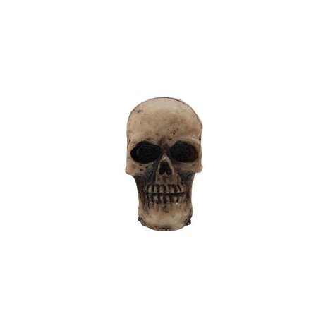 Idea-ology Tim Holtz Halloween Skulls (TH94270)
