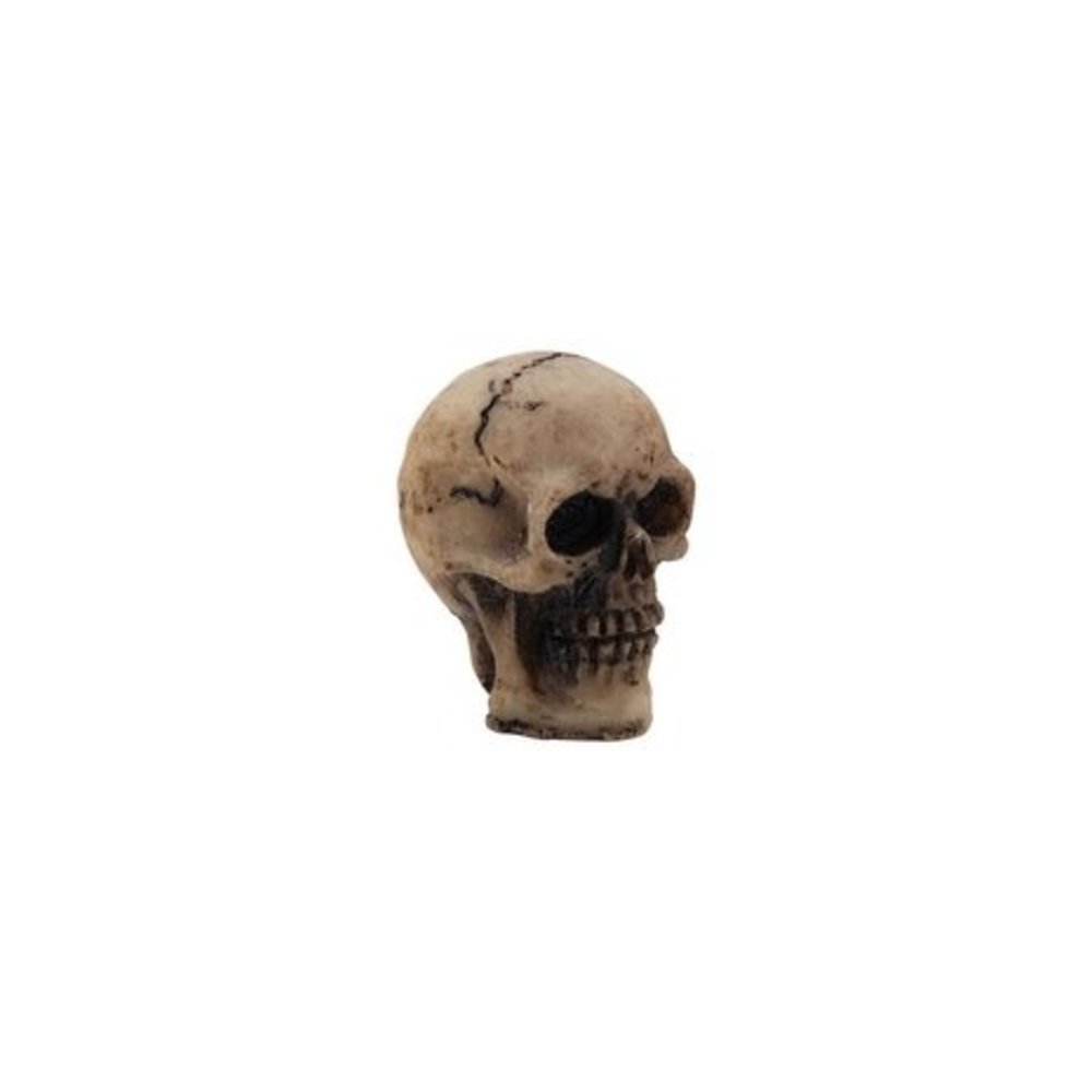 Idea-ology Tim Holtz Halloween Skulls (TH94270)