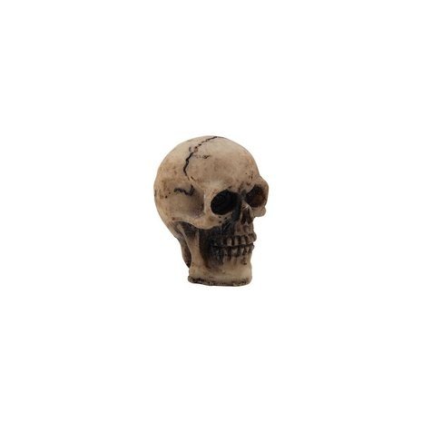 Idea-ology Tim Holtz Halloween Skulls (TH94270)