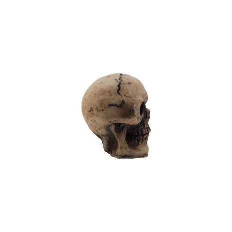 Idea-ology Tim Holtz Halloween Skulls (TH94270)