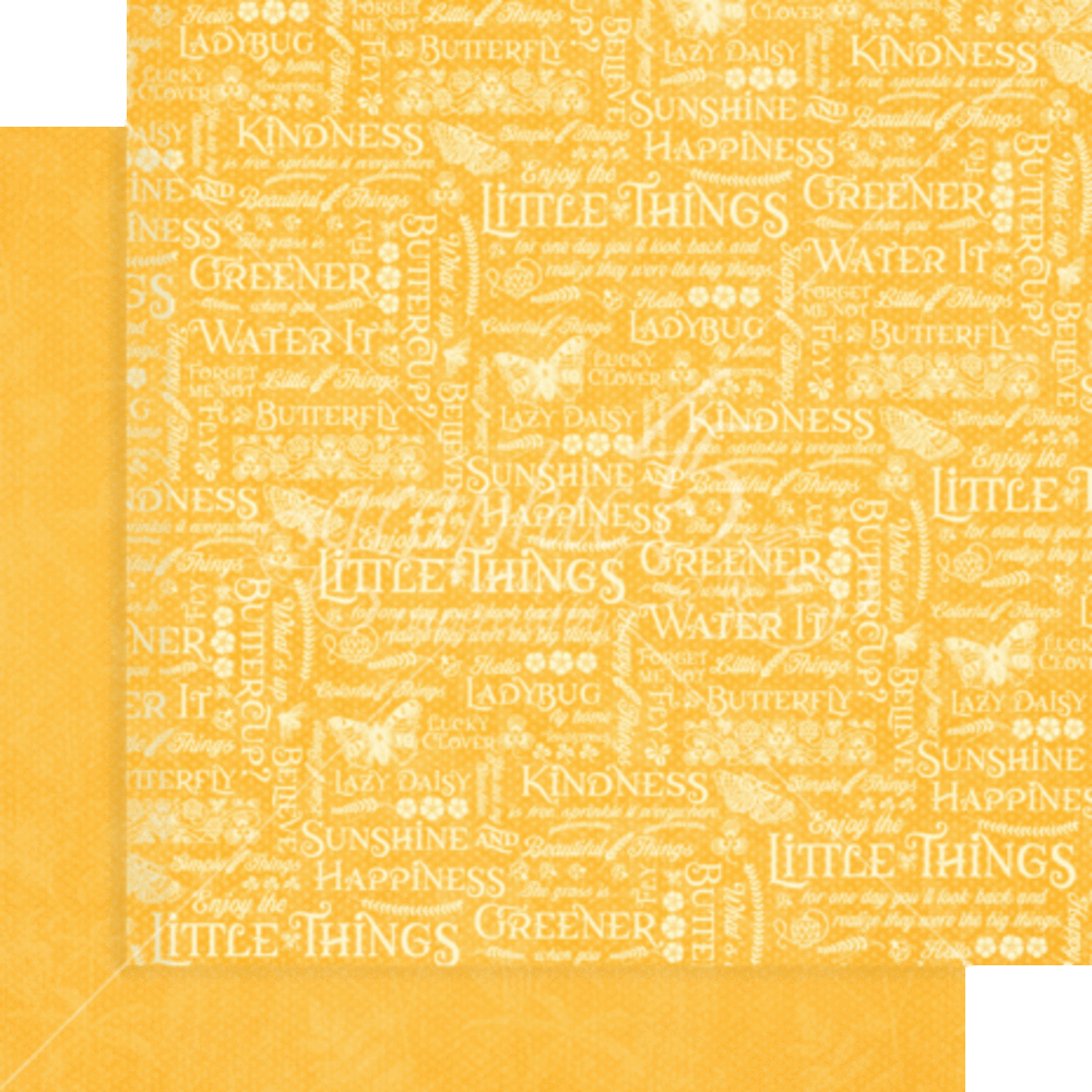 Graphic 45 Little Things 12x12 Inch Patterns & Solids Paper Pack (4502528) Graphic 45 Little Things 12x12 Inch Patterns & Solids Paper Pack (4502528)