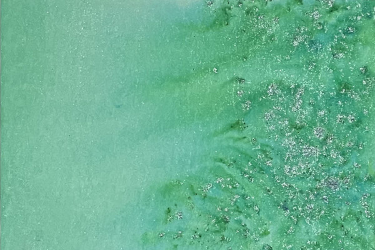 Lindy's Stamp Gang Moray Eel Mint Magical Sifters (mag-sift-05)