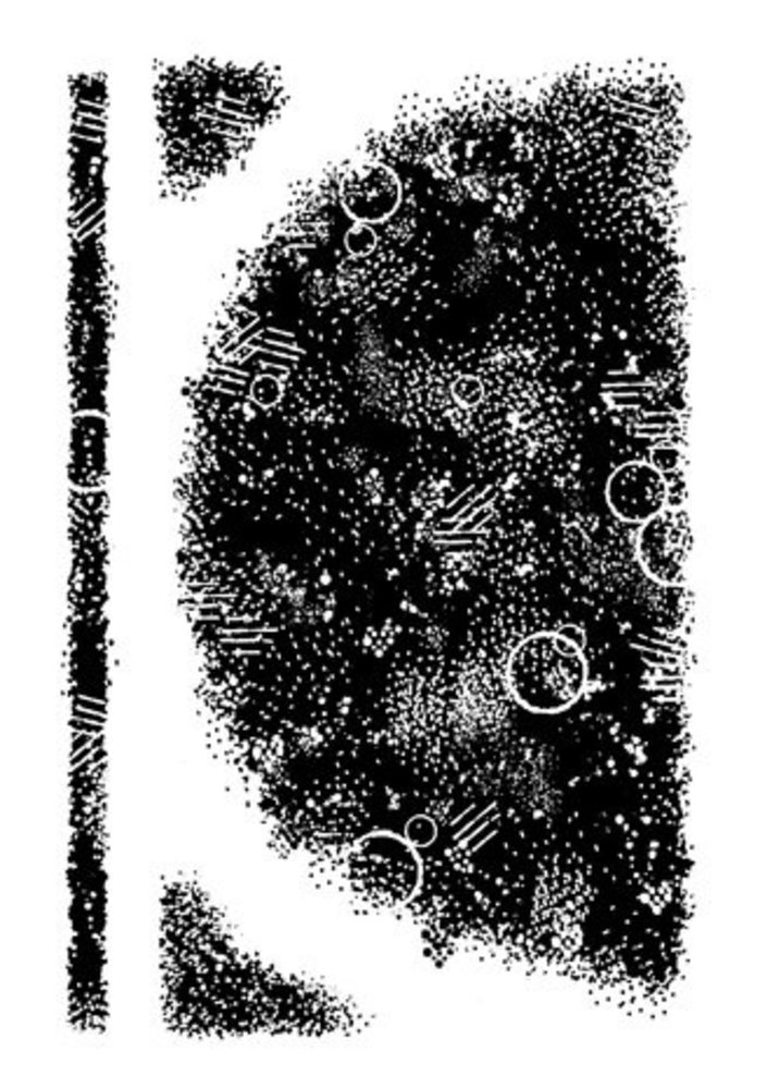 Woodware Semi Circle Texture Clear Stamps (FRM052)