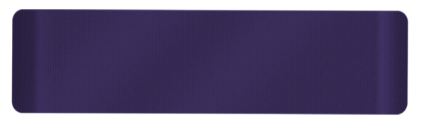 Crafter's Companion Wisteria Collection Seam Binding Ribbon (NG-WC-SBRIB)