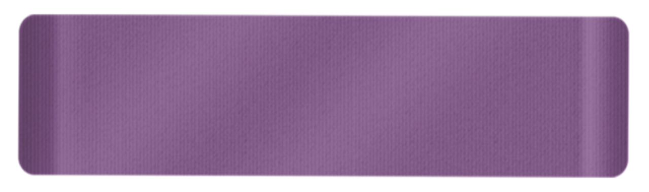 Crafter's Companion Wisteria Collection Seam Binding Ribbon (NG-WC-SBRIB)