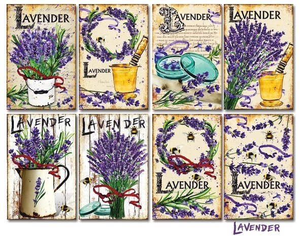Decorer Lavender Paper Pack (7x10,8cm) (DECOR-M115)