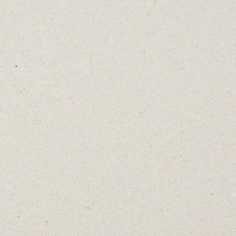 Vaessen Creative Grijskarton A3 (20pcs) (29993-008) Vaessen Creative Grijskarton A3 (20pcs) (29993-008)