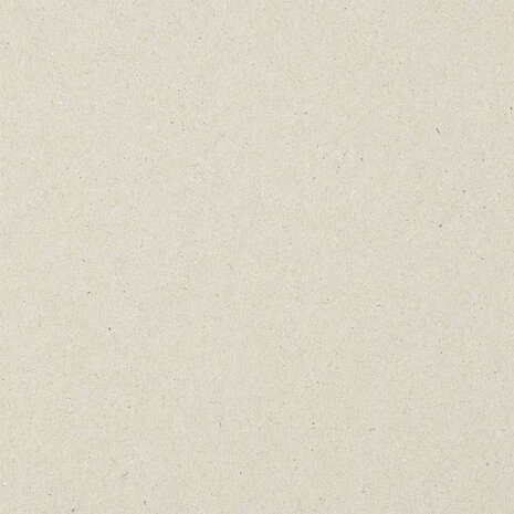 Vaessen Creative Grijskarton 12x12 Inch (20pcs) (29993-012)